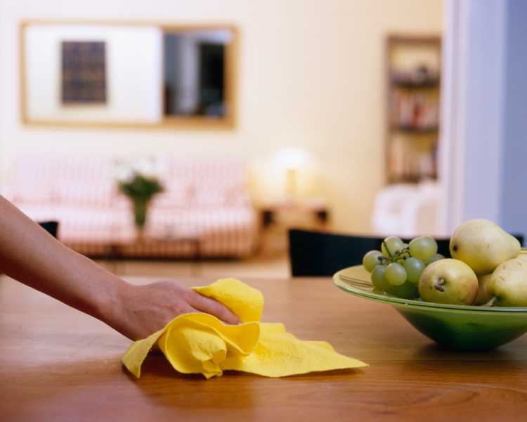 Domestic Cleaning service