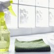 House Cleaning Tips - Cleanlinks
