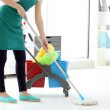 Importance of House Cleaning